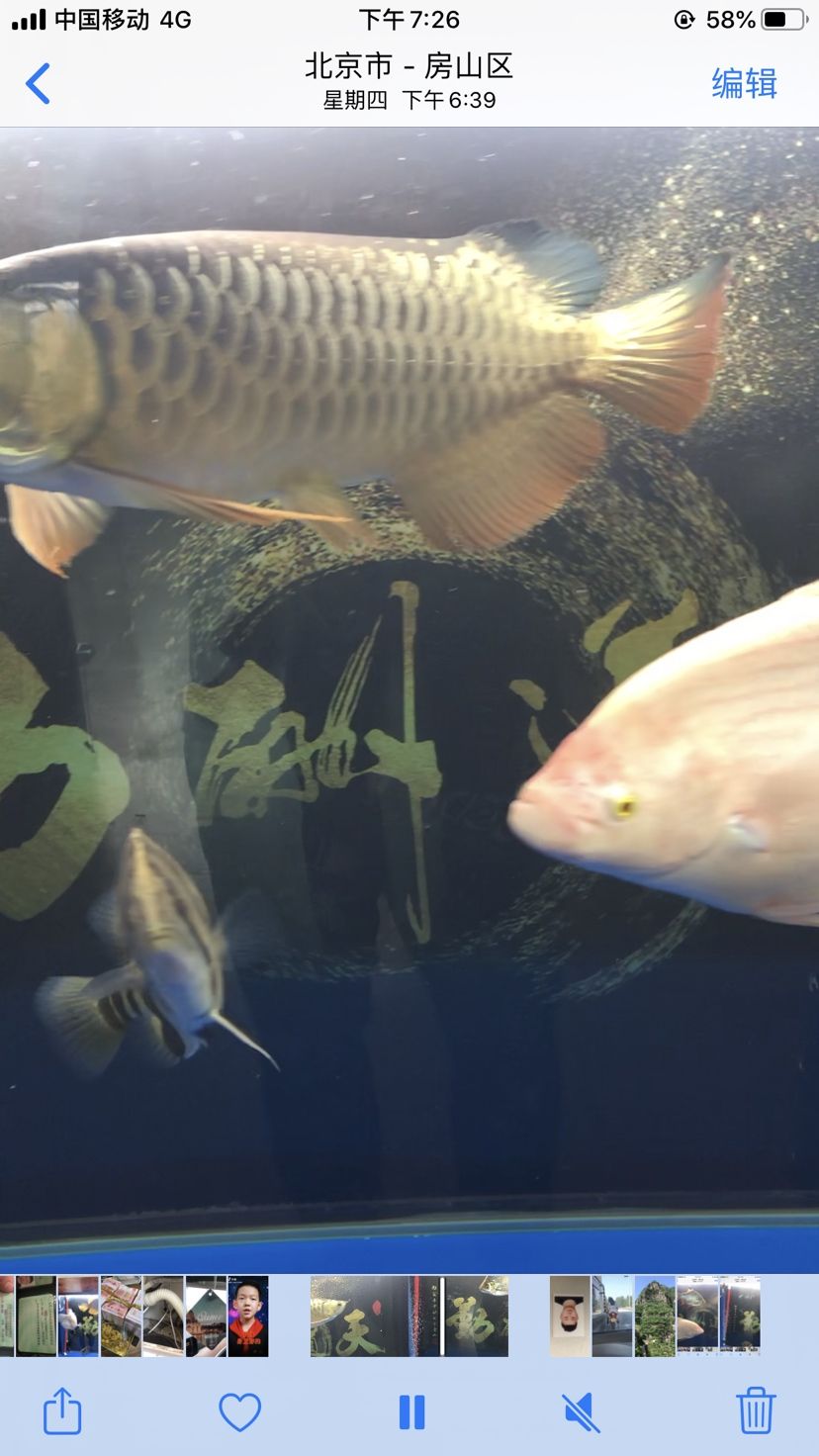 宿遷水族館求幫助大神們 養(yǎng)魚的好處 第4張