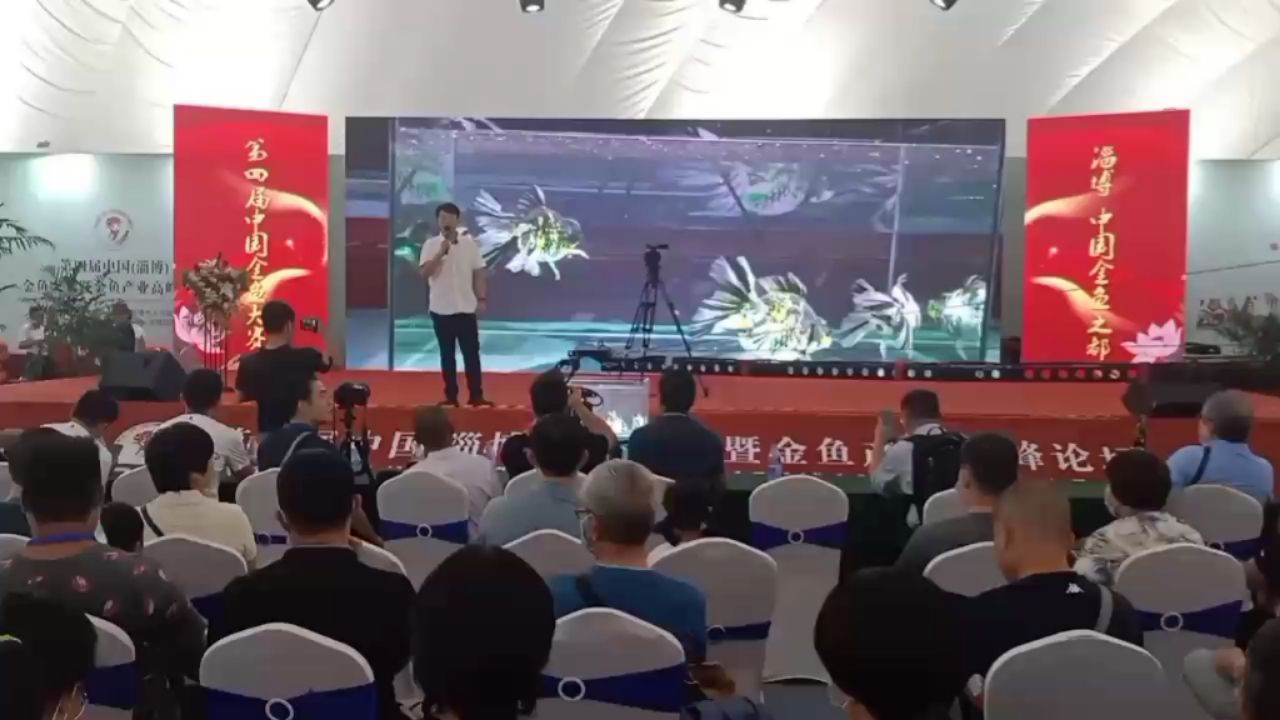 博爾塔拉蒙古自治州觀賞魚市場淄博2022第四屆金魚展 觀賞魚市場（混養(yǎng)魚） 第2張