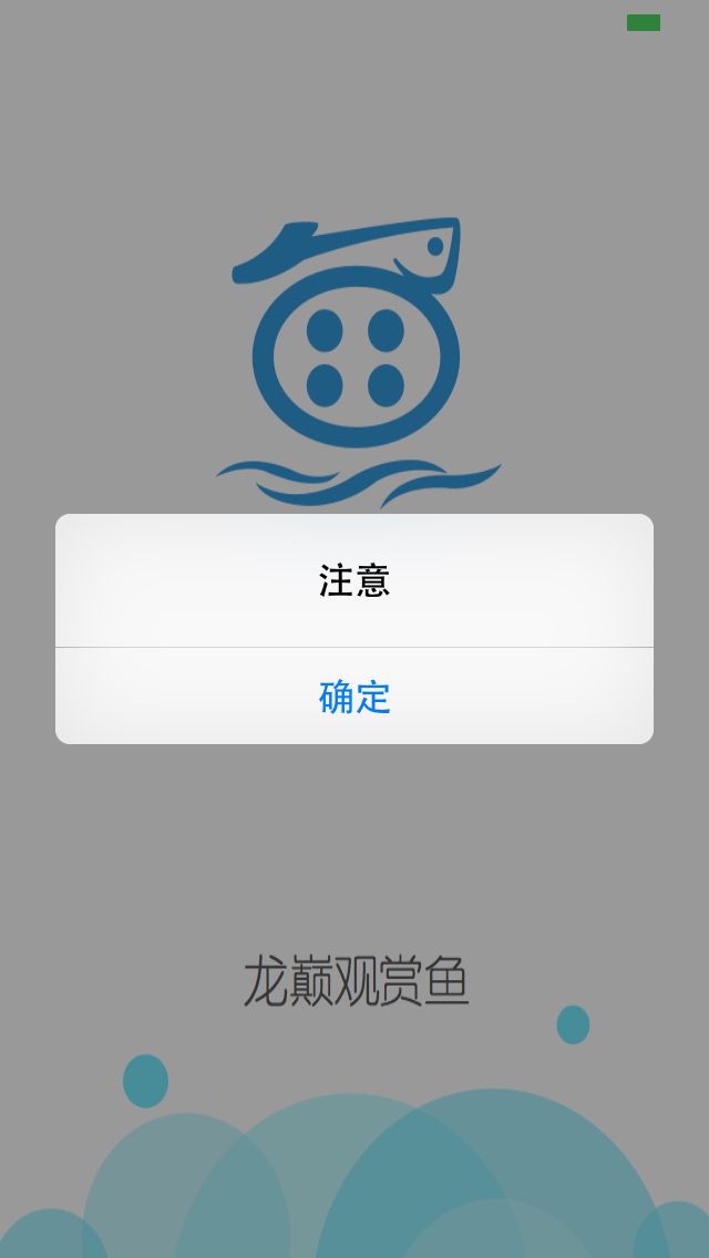 app打不開