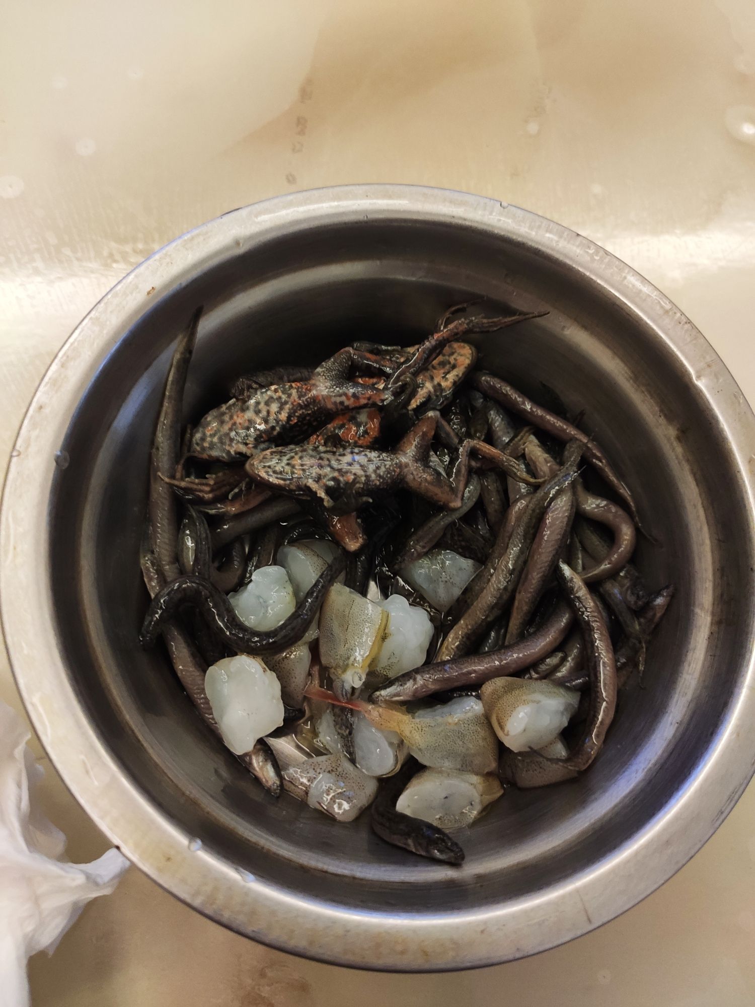 大把魚食