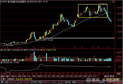 金龍魚行情走勢（12月11日15:00，金龍魚漲停）