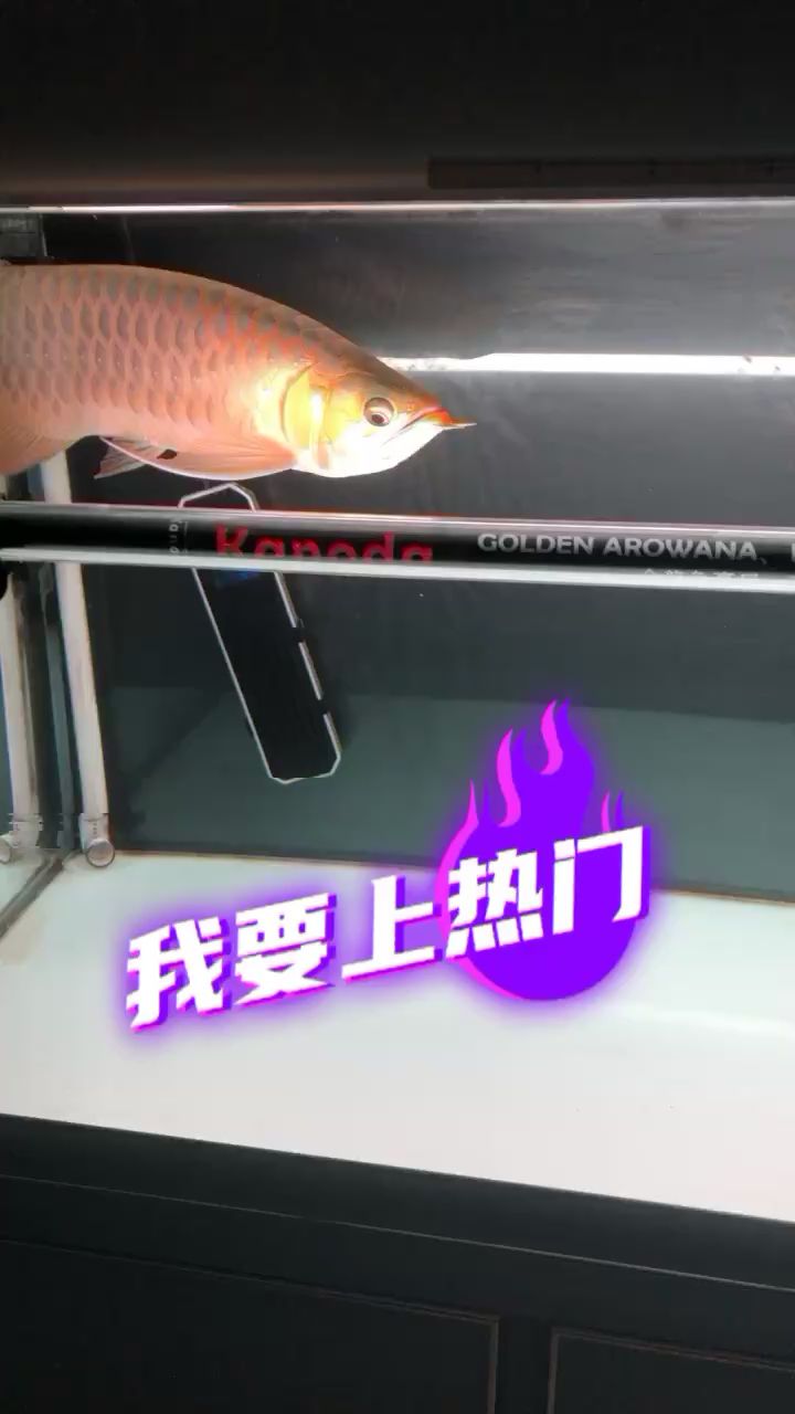 青島水族館側(cè)燈搞起