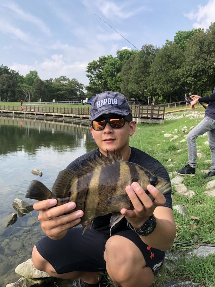 萊蕪水族館野虎 水族燈（魚缸燈） 第8張