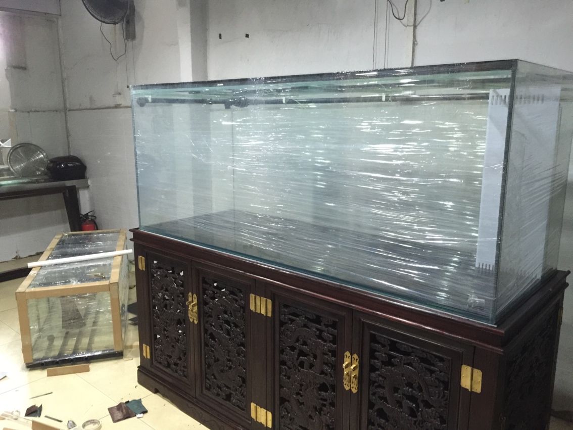 邯鄲觀賞魚(yú)市場(chǎng)分下一下純手工制作出品 觀賞魚(yú)市場(chǎng)（混養(yǎng)魚(yú)） 第6張