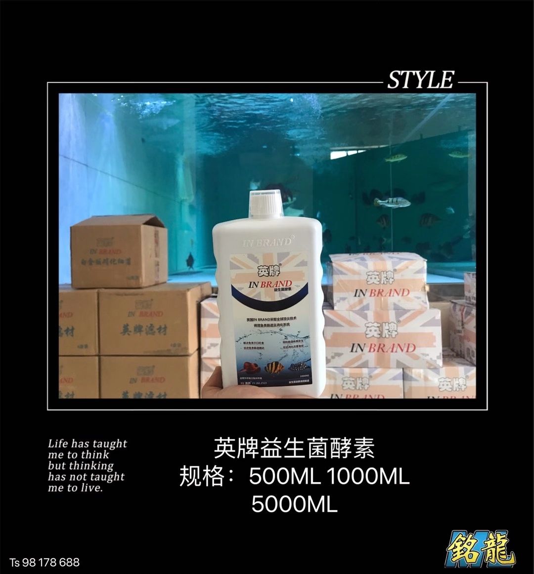 遵義觀賞魚市場英牌明星產(chǎn)品合集[勝利