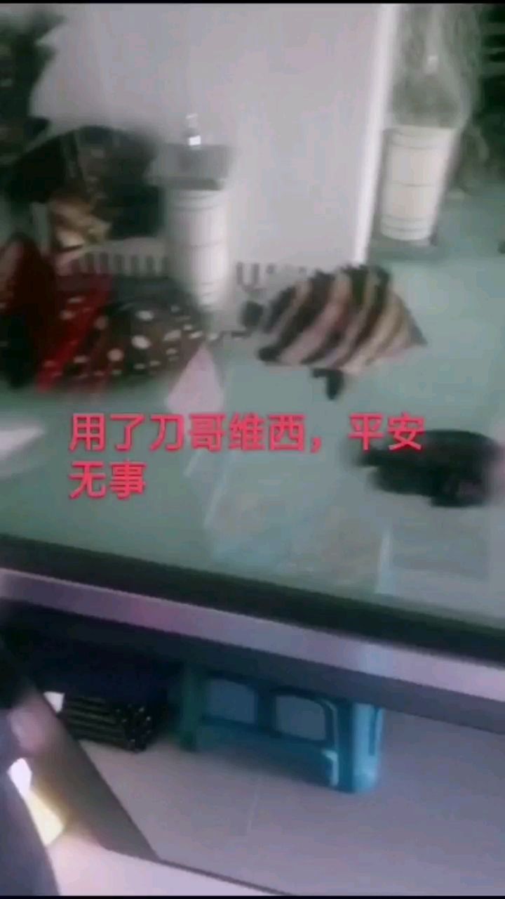 高錳酸鉀帶有魟魚的缸消毒導致的悲劇