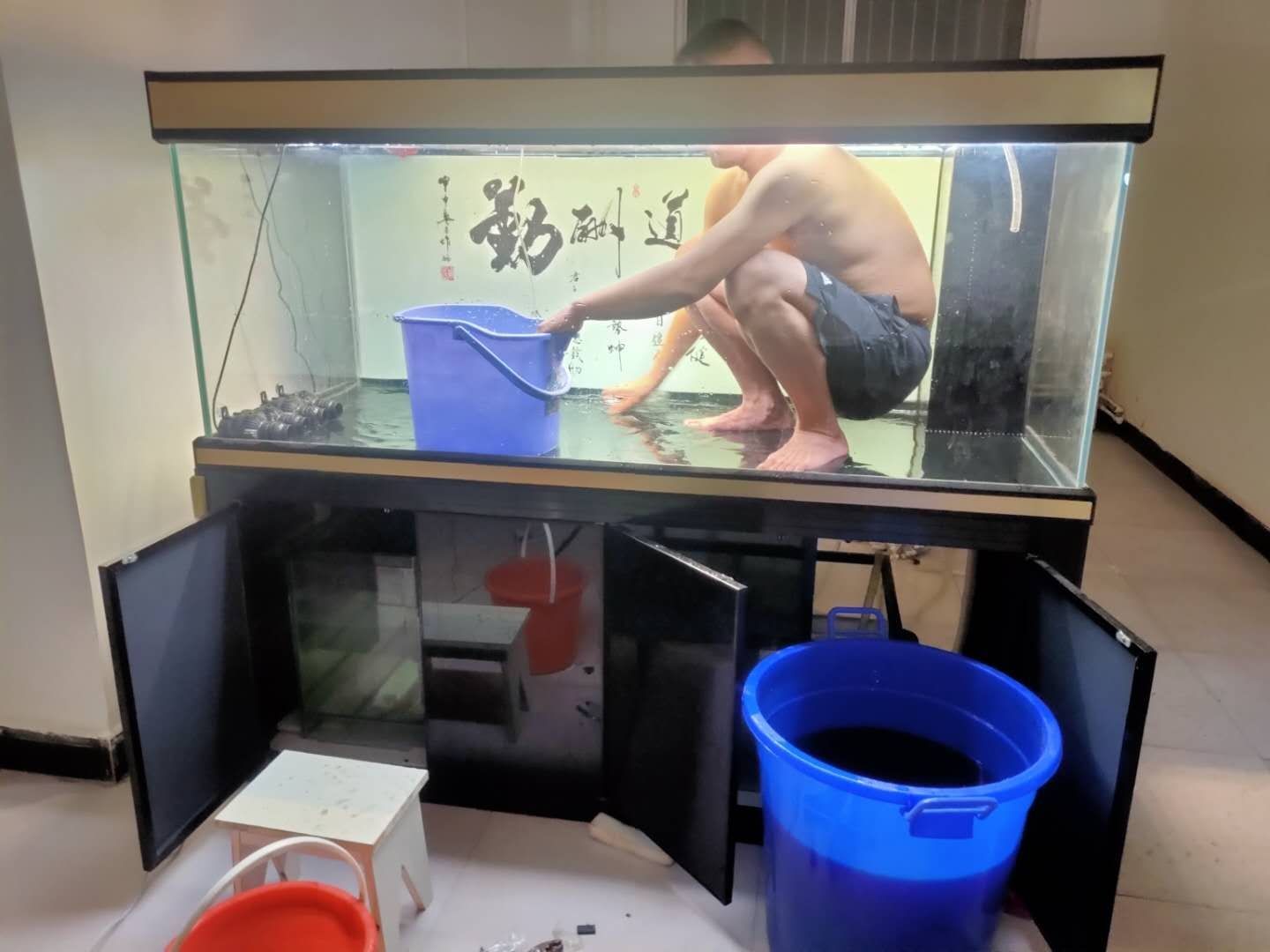 龍魚搬新家 觀賞龜/鱉飼料 第1張