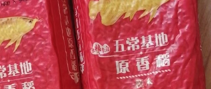 金龍魚購物卡怎么激活使用（使用金龍魚購物卡的一般步驟） 龍魚百科 第3張