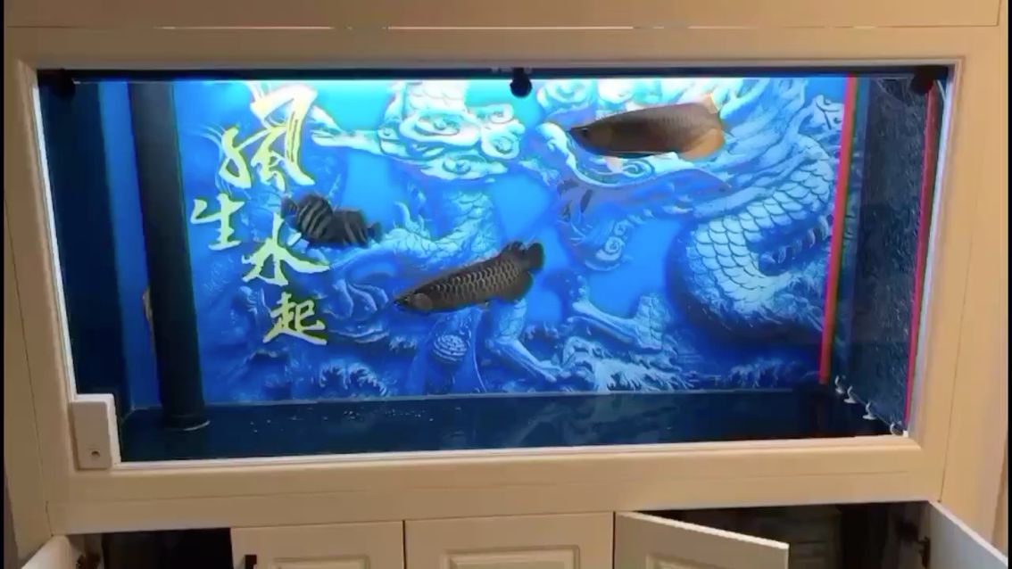 錫林郭勒盟水族館紅龍用燈