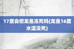 金龍魚溫度多少度會(huì)凍死（金龍魚的適宜水溫范圍） 龍魚百科 第5張