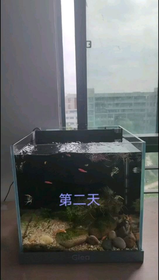 懷化水族館第二天