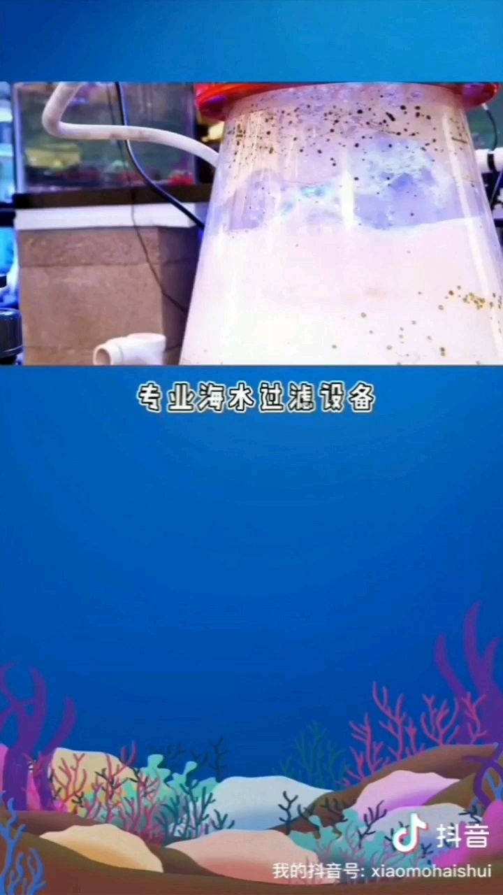 樂(lè)山水族館海水第三課