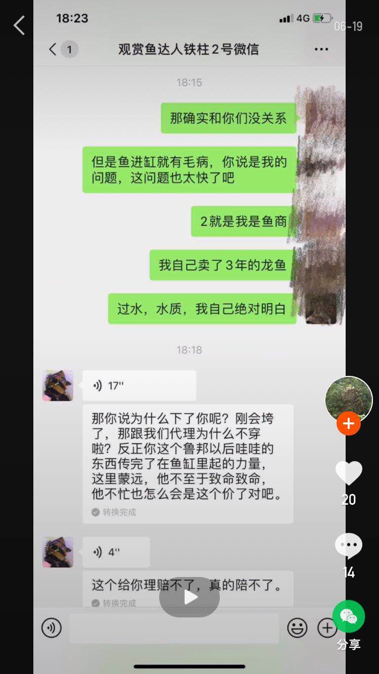 全網(wǎng)爆光還魚友們的個公道 杰西卡恐龍魚 第4張