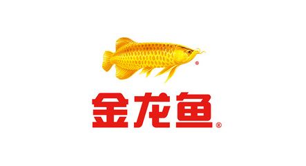 金龍魚圖案設(shè)計理念怎么寫的（金龍魚圖案設(shè)計理念） 龍魚百科 第3張