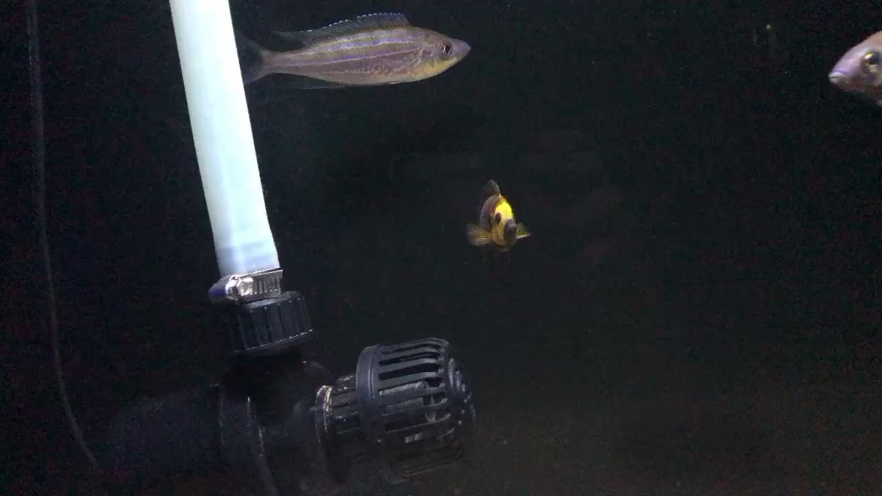 遼陽(yáng)水族館航空母艦起飛了