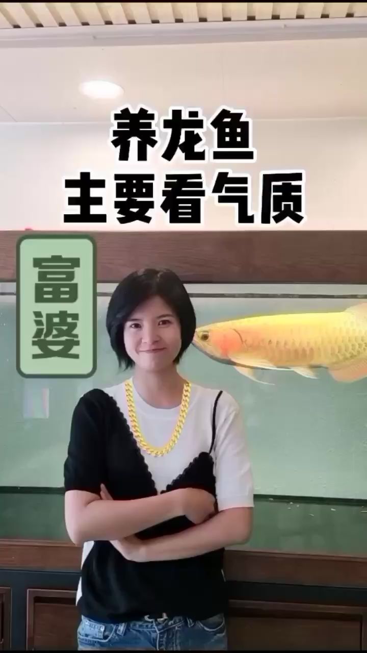 阿里觀賞魚(yú)市場(chǎng)富婆還不夠富