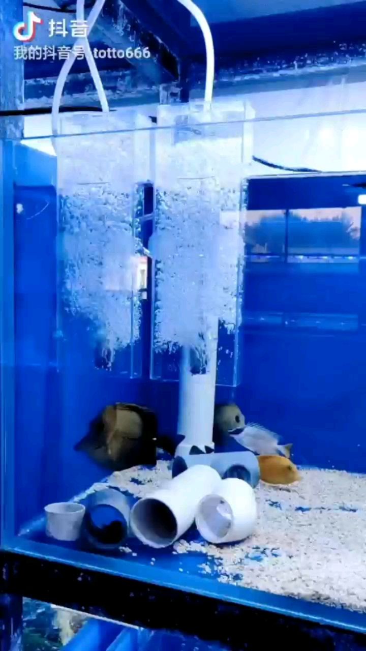 濰坊水族館如果不用蛋分海水缸的供氧方法