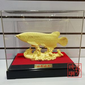 黃金龍魚價(jià)格（黃金龍魚與紅龍魚價(jià)格對(duì)比，黃金龍魚價(jià)格對(duì)比） 龍魚百科 第2張