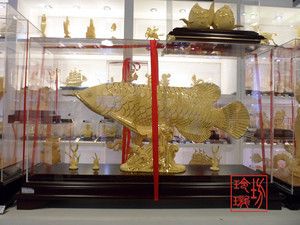 黃金龍魚價(jià)格（黃金龍魚與紅龍魚價(jià)格對(duì)比，黃金龍魚價(jià)格對(duì)比） 龍魚百科 第5張