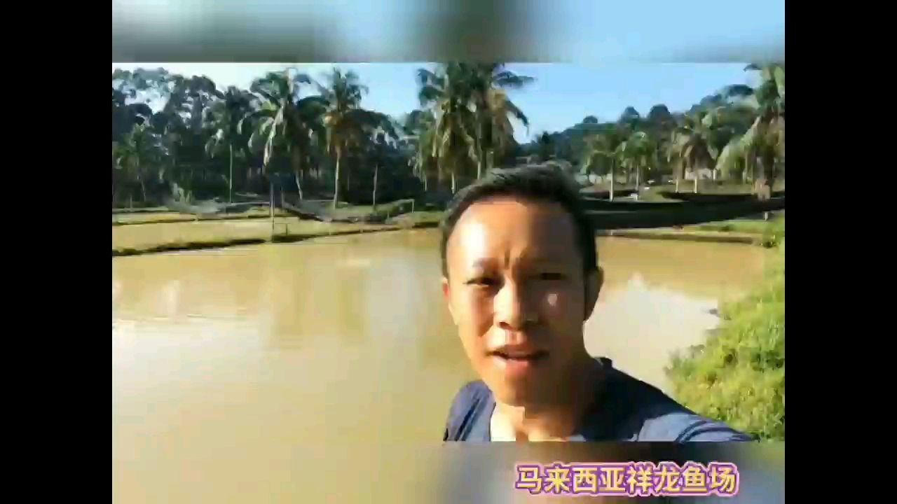 大boss親自陪客戶下塘撈魚