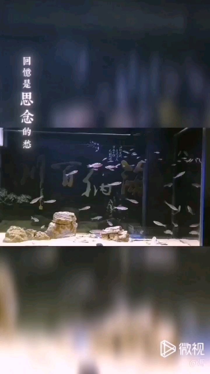 好久沒來了魚友們最近可好