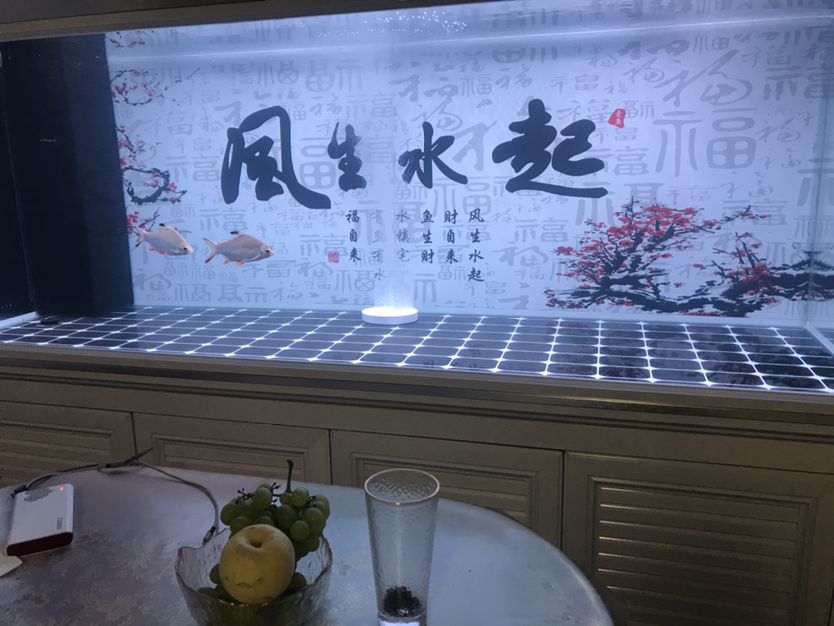 曲靖觀賞魚市場(chǎng)養(yǎng)水三天了