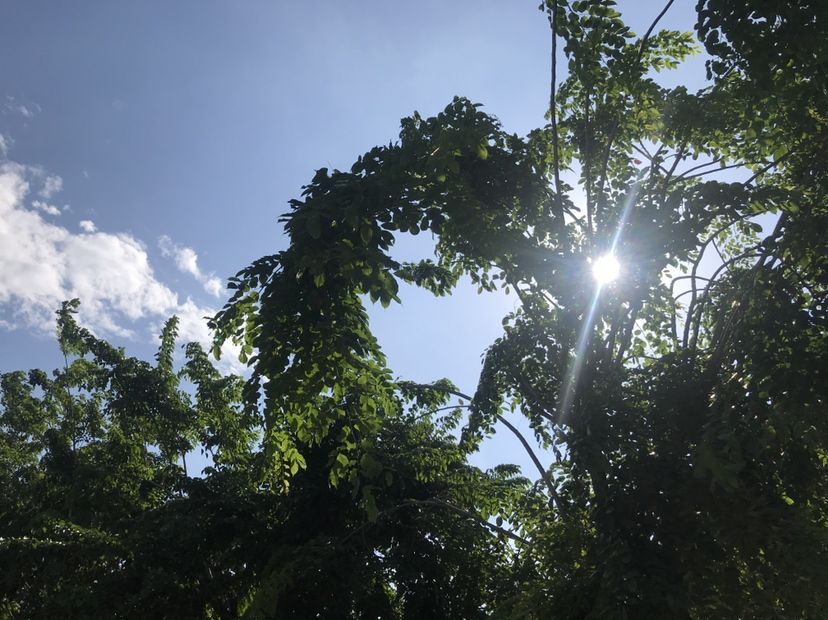 忻州水族館太陽(yáng)極好適合折騰的好日子