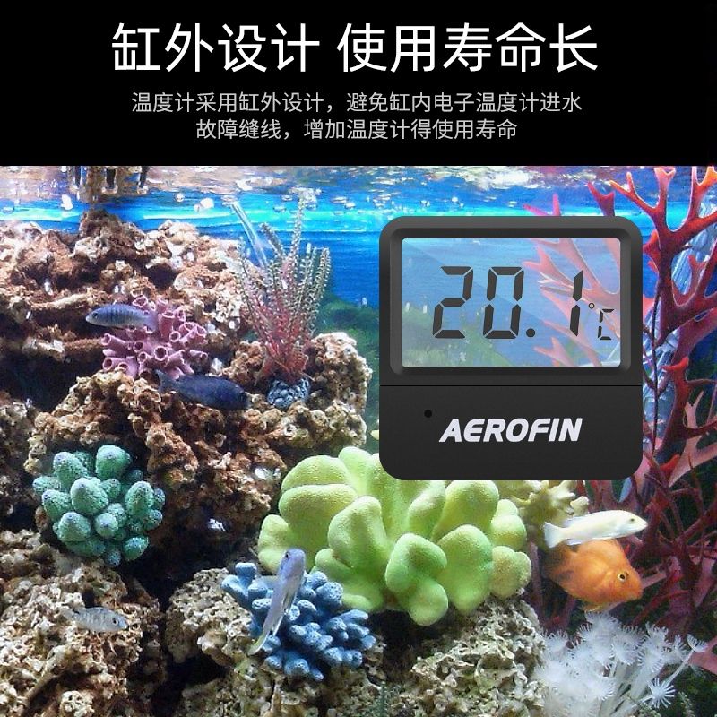 自貢觀賞魚市場高精確溫度計(jì)? 觀賞魚市場（混養(yǎng)魚） 第6張