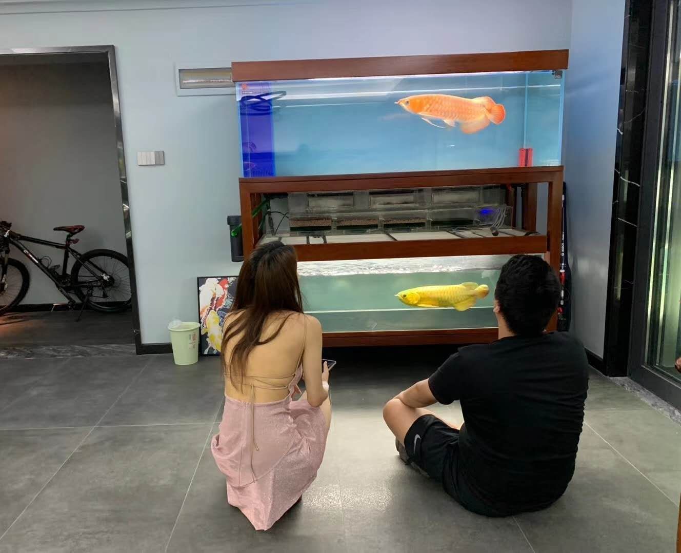 通化水族館魚友群發(fā)現(xiàn)一圖滿眼的羨慕嫉妒恨