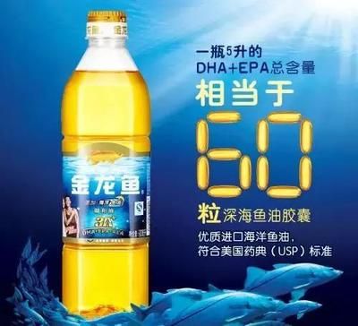 金龍魚銷量怎么樣?。ń瘕堲~產(chǎn)品銷量持續(xù)增長） 龍魚百科 第1張