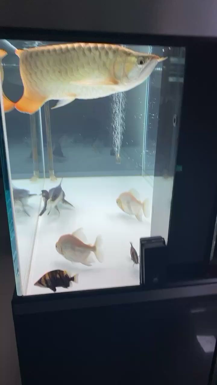 信陽水族館剛換完水