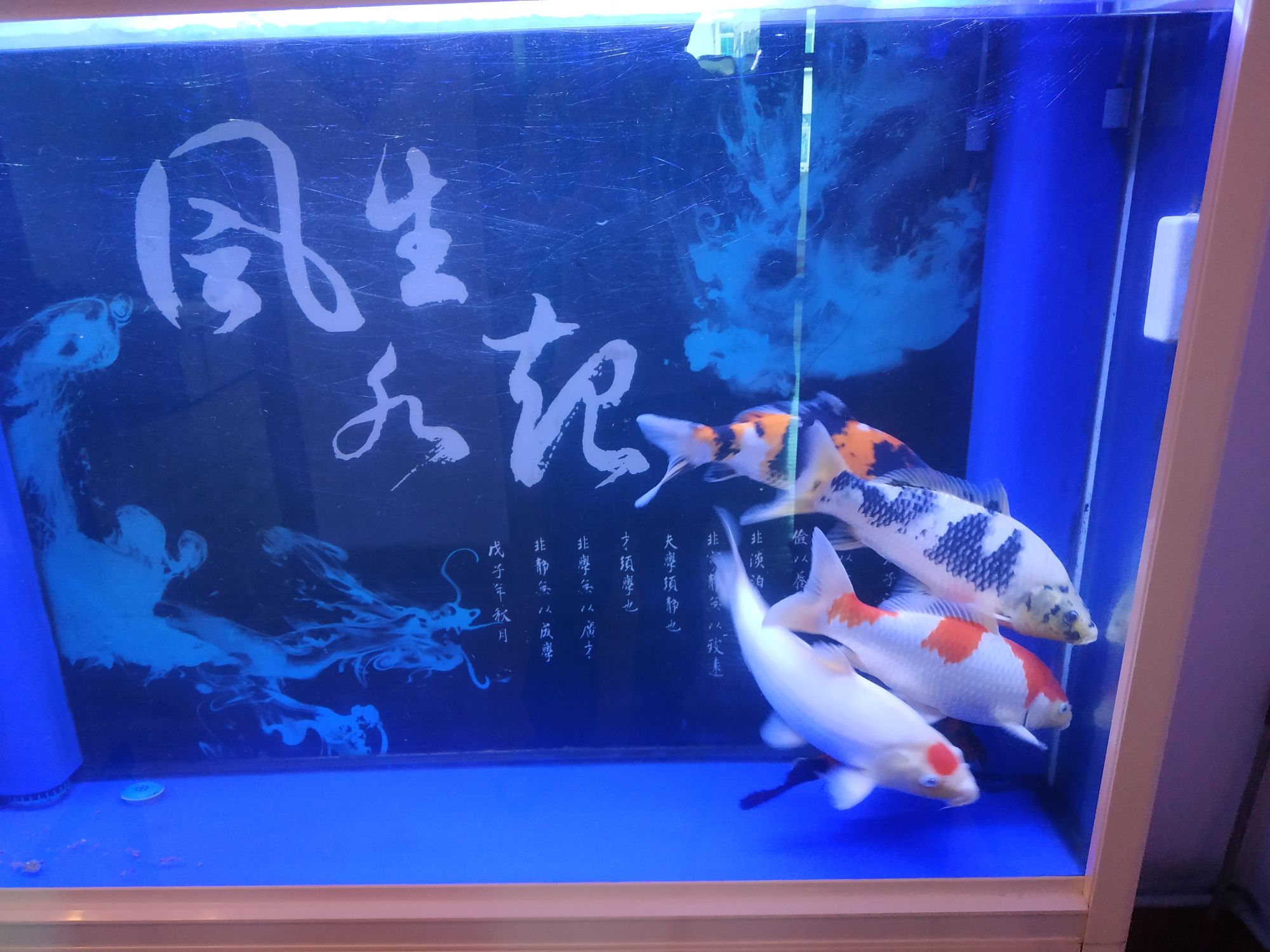 南充水族館有驚無險