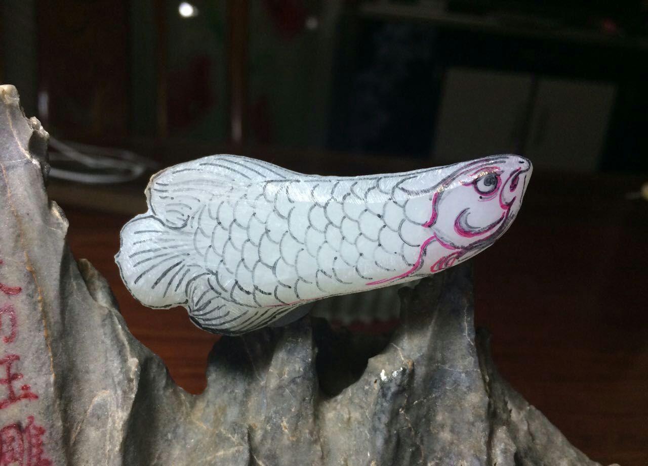 金龍魚雕刻畫稿（金龍魚雕刻作品欣賞金龍魚雕刻作品欣賞金龍魚雕刻文化寓意）