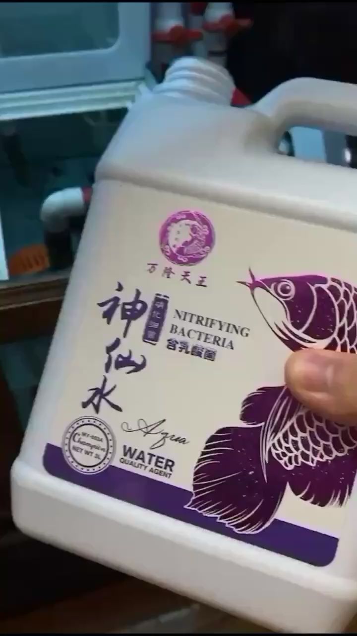 婁底水族館新開缸得勤換水補(bǔ)菌