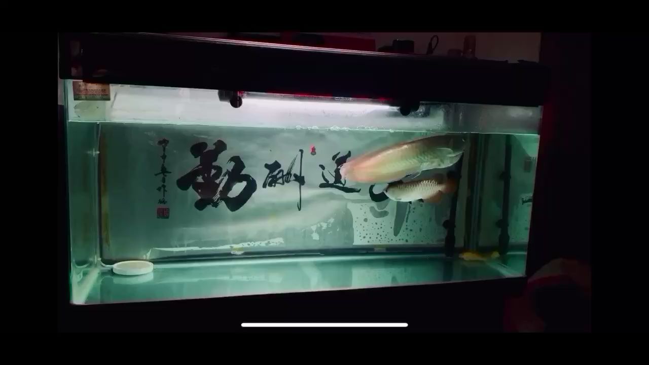 甘孜藏族自治州水族館又是一天