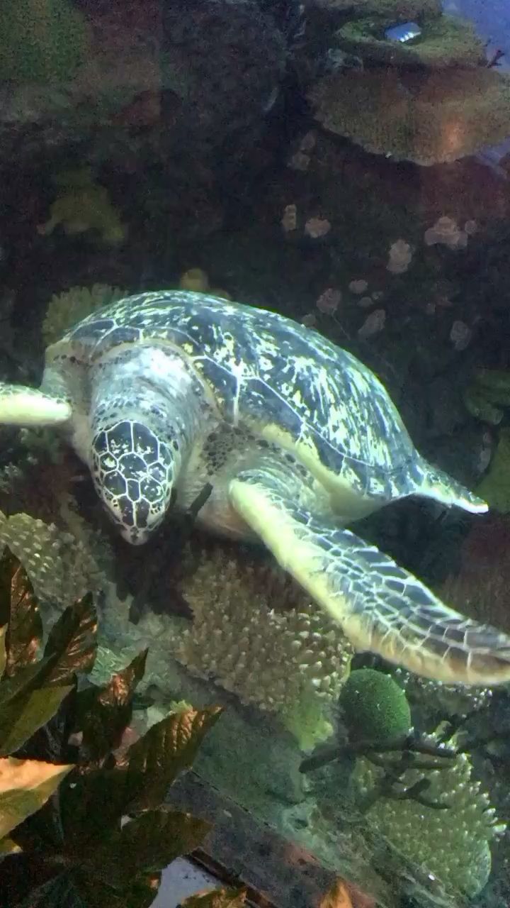 海洋館一日游