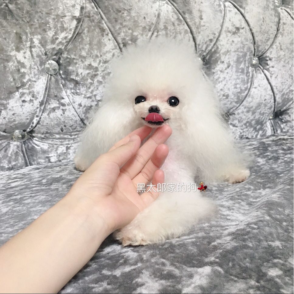 魚缸干濕分離盒的特點和利弊