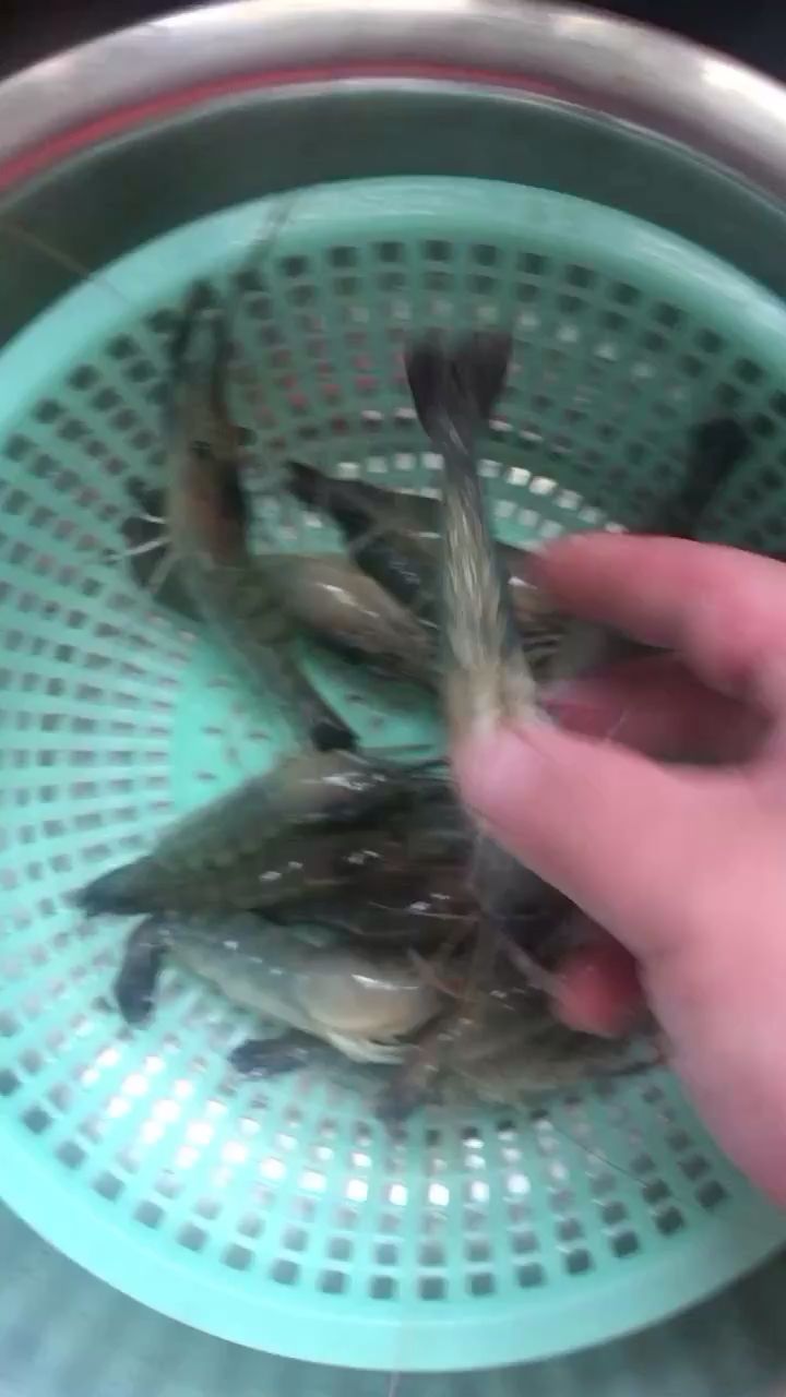 給魚改善改善伙食