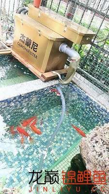 知道嗎室內魚池也可以這么驚艷