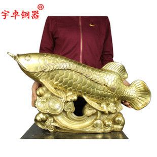 金龍魚工藝品（關(guān)于金龍魚工藝品的詳細(xì)信息）