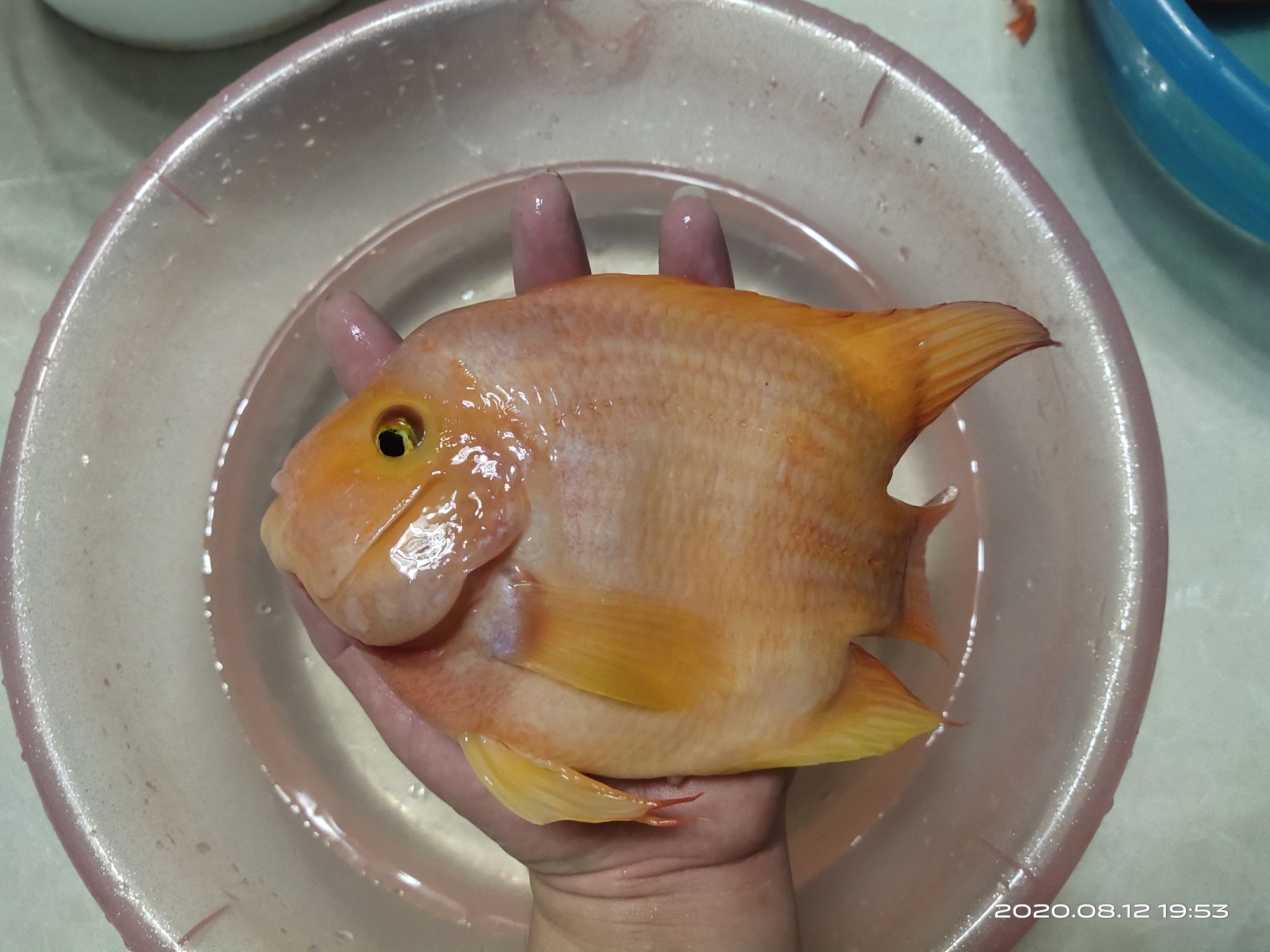 連云港水族館新到家的兩條