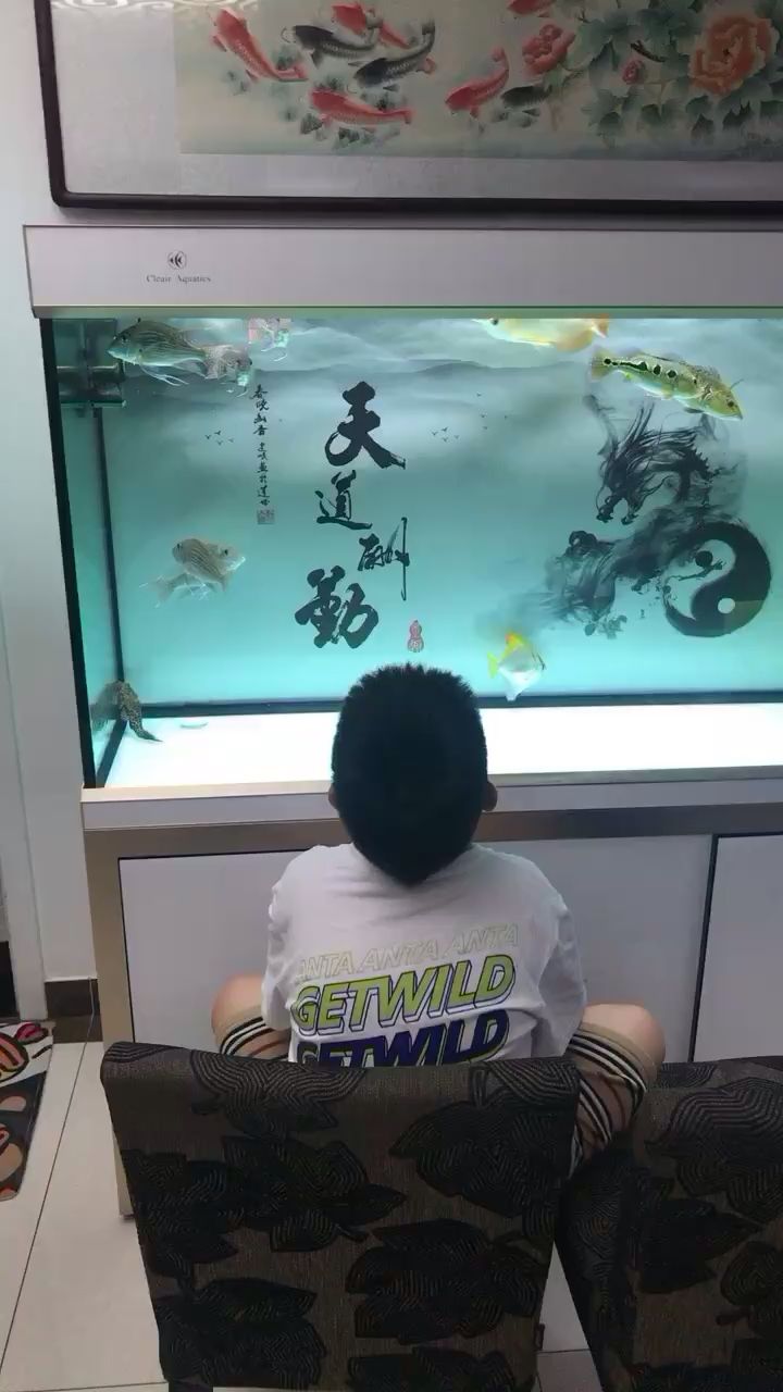 上饒水族館看魚(yú)