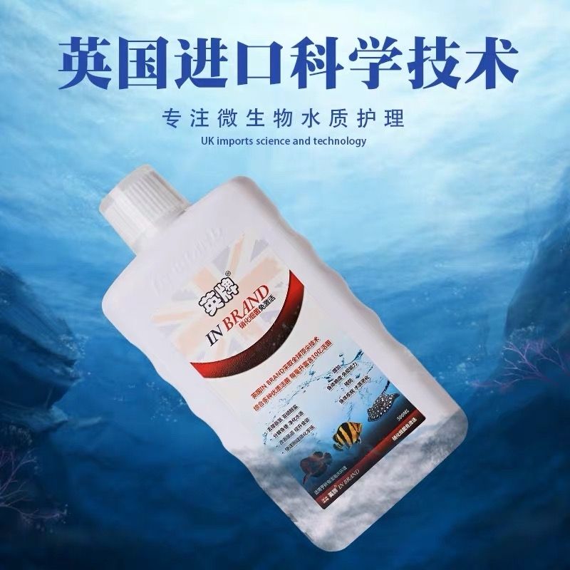 英牌水族產(chǎn)品展會(huì)與您不見(jiàn)不散 飛鳳魚(yú)苗 第5張