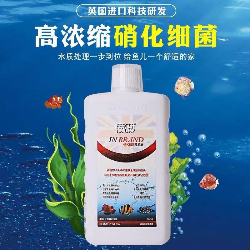 英牌水族產(chǎn)品展會(huì)與您不見(jiàn)不散 飛鳳魚(yú)苗 第6張