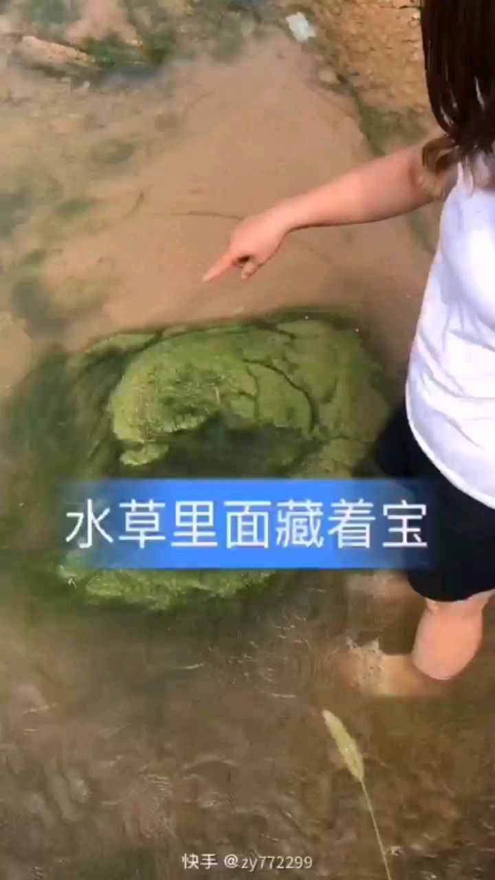 這是腦子怎么了