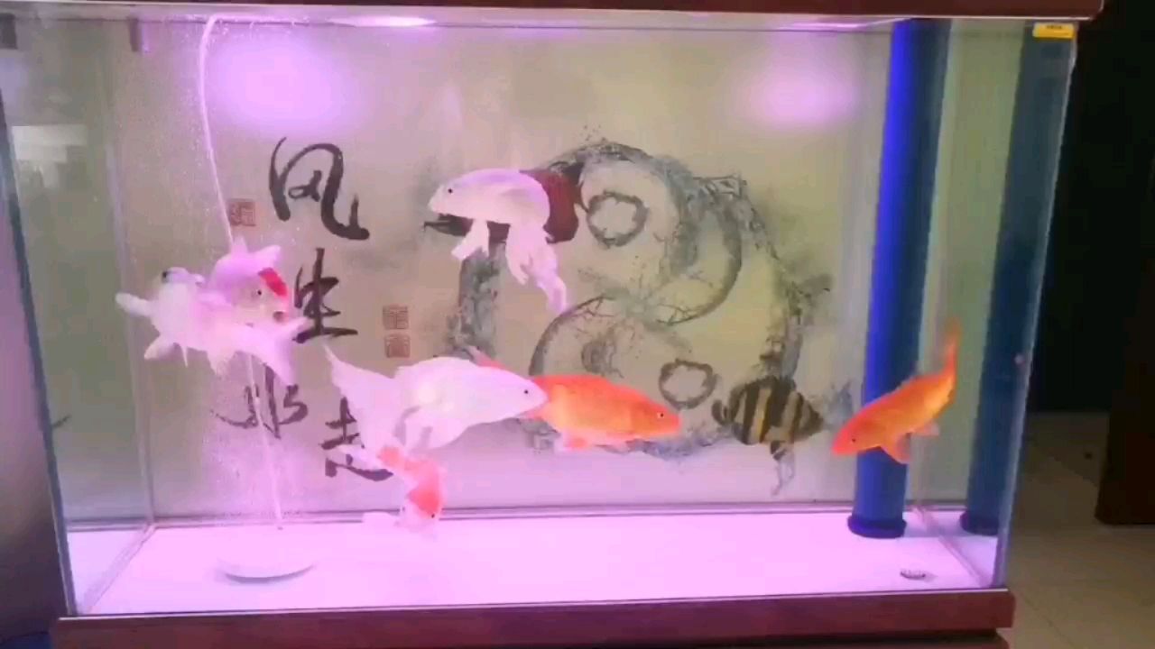 西寧水族館每日一貼