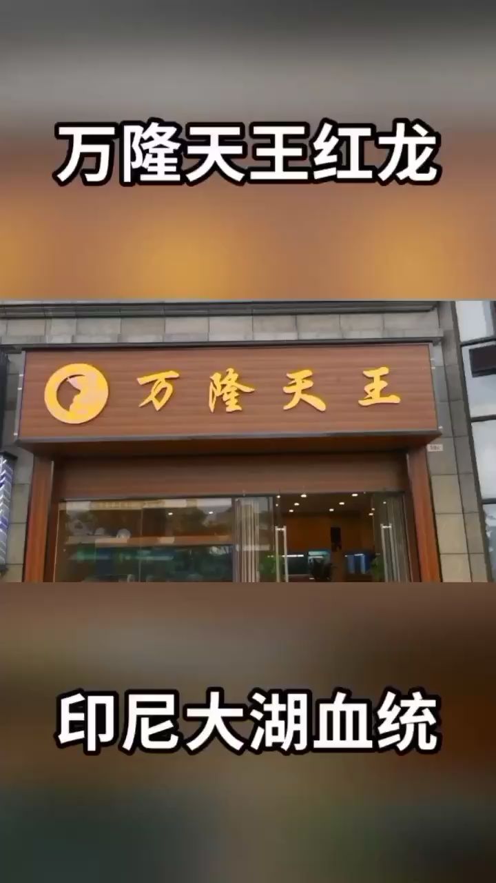 半分鐘帶您逛逛水族網紅店