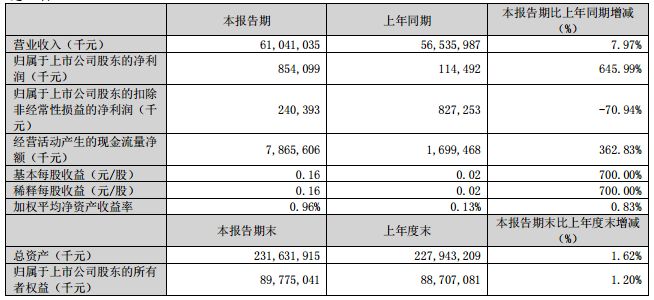 金龍魚一季度利潤（金龍魚2019年一季度利潤分析） 龍魚百科 第5張