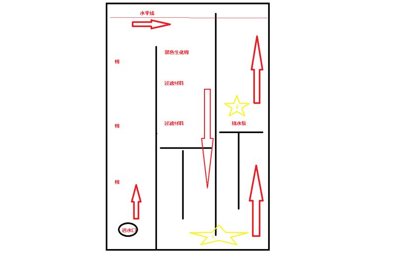 威海水族館請(qǐng)教魚(yú)缸過(guò)濾問(wèn)題