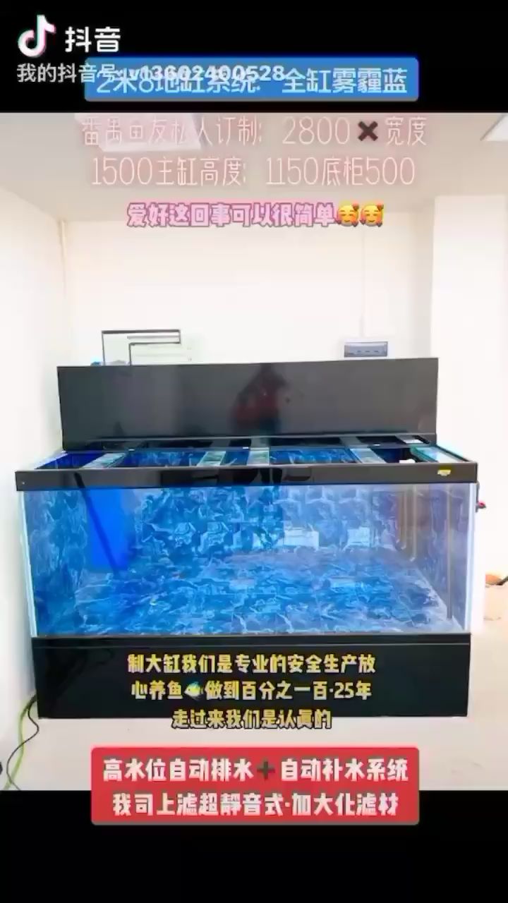 2米8地缸系統(tǒng) 虎魚魚苗 第2張